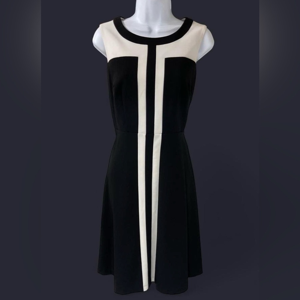 Black & White Sleeveless A-Line Dress